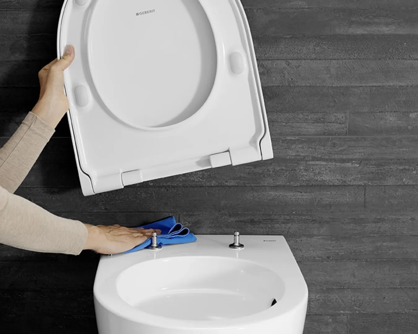 Toilettensitz wird zur Reinigung einfach abgenommen.