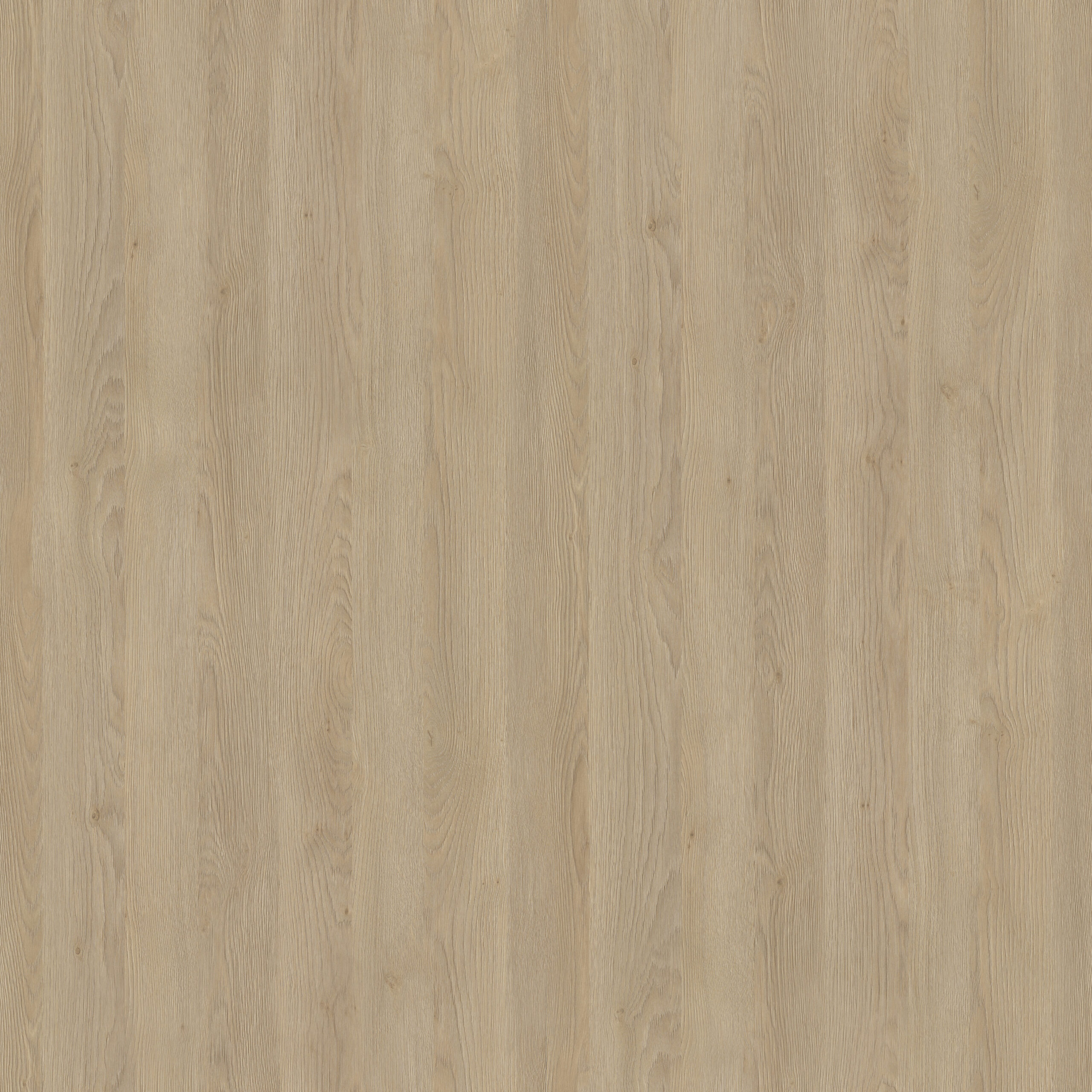 Eiche Dekor Cashmere